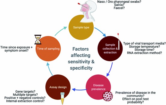 Fig.1 The elements that influence the results of molecular diagnostics.